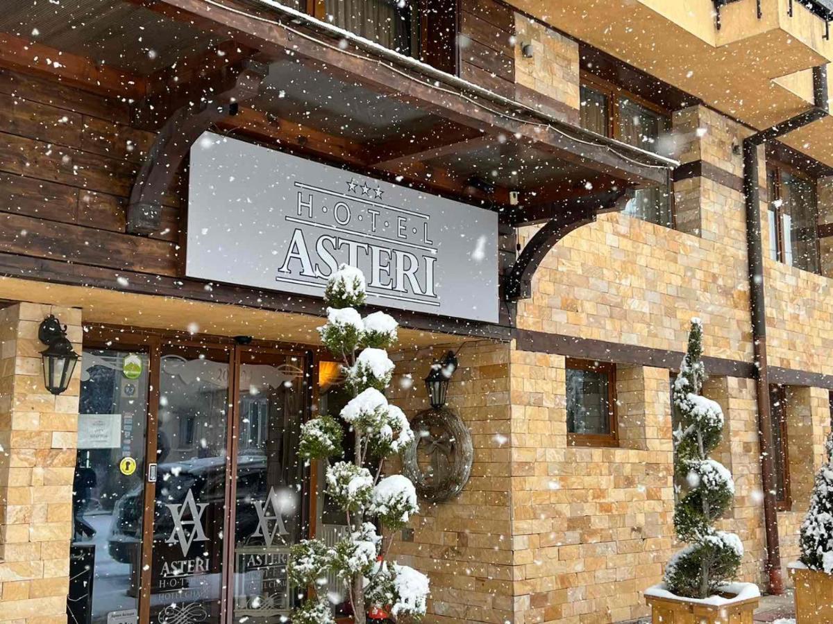 Hotel Asteri Bansko - Organic Food From Small Local Farms By Asteri Hotels Eksteriør billede